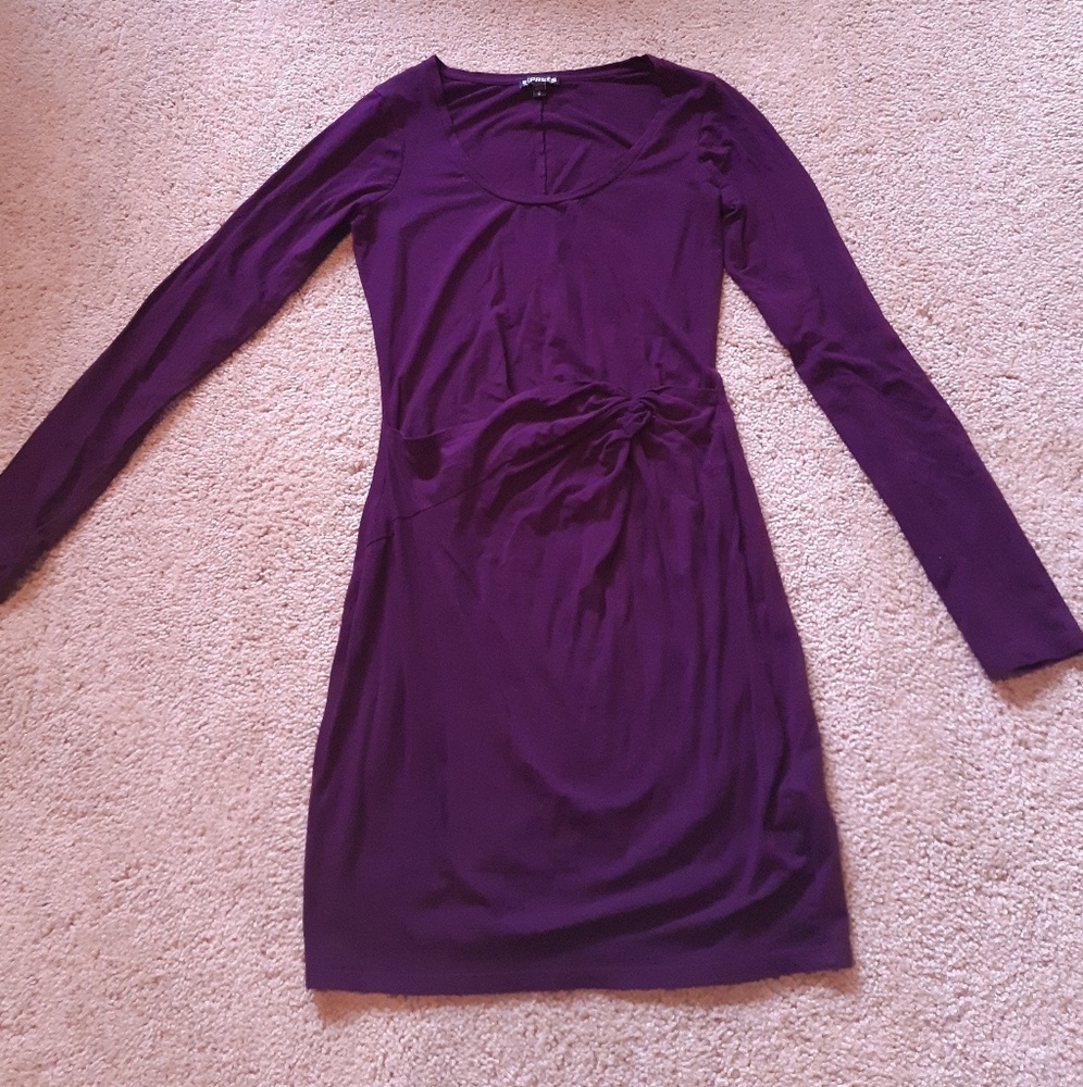 Express Long Sleeved Purple Dress